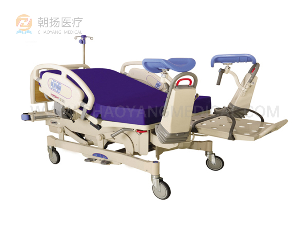 LDR BED(Intelligent) CY-C304